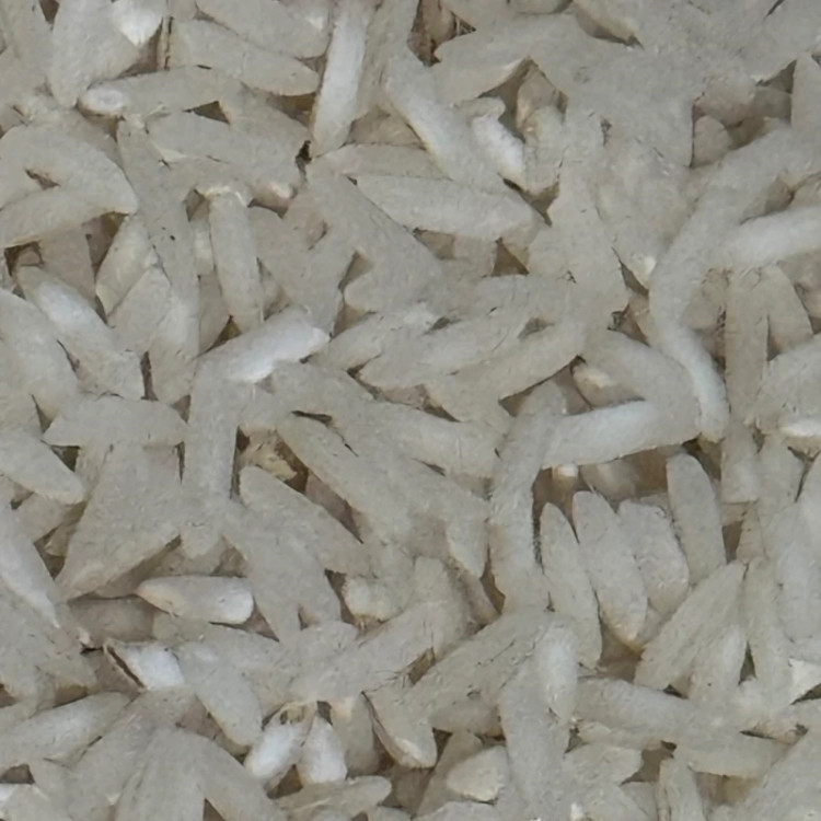 برنج طارم مازندران