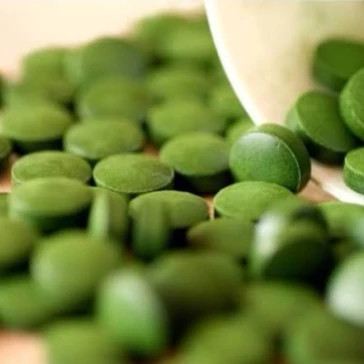 Ghorse jolbak laghari