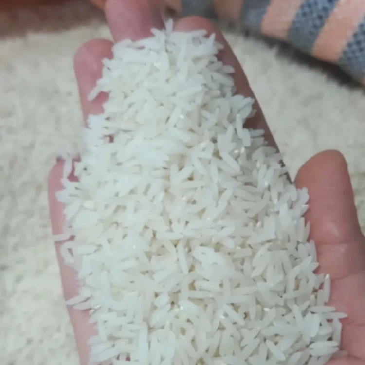 برنج طارم کشت دوم اصل مازندران در مونولیزا