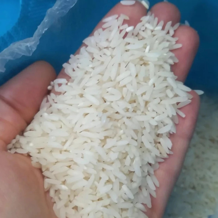 برنج طارم کشت دوم اصل مازندران در مونولیزا