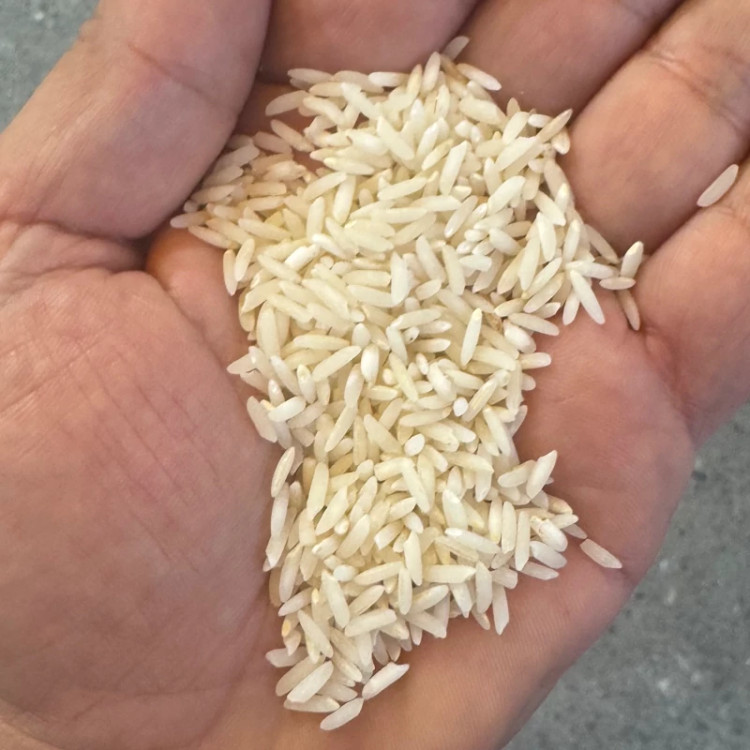 برنج طارم کشت دوم اصل مازندران در مونولیزا