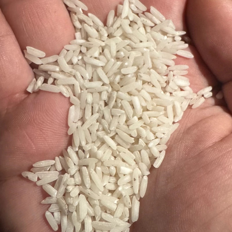 برنج طارم کشت دوم اصل مازندران در مونولیزا