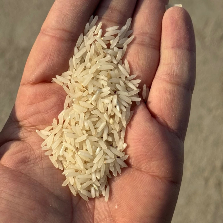 برنج درجه یک