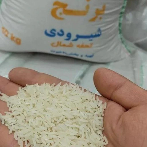 برنج شیرودی شمال اعلا و خوشپخت