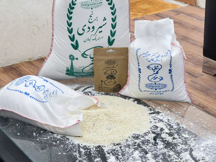 برنج شیرودی شمال اعلا و خوشپخت