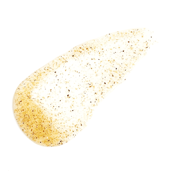 اسکراب پاککننده منافذ بادی شاپ مدل سیوید (Seaweed) حجم ۱۰۰ میلیلیتر