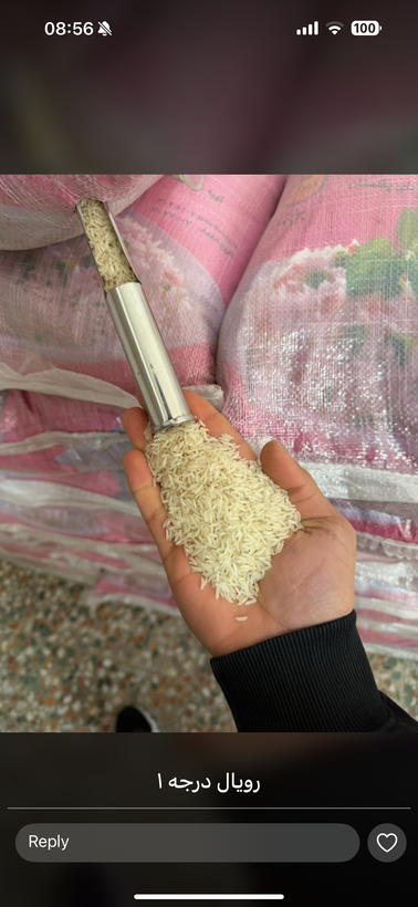 برنج پاکستانی دانه بلند بهترین مارکهای برنج خارجی
