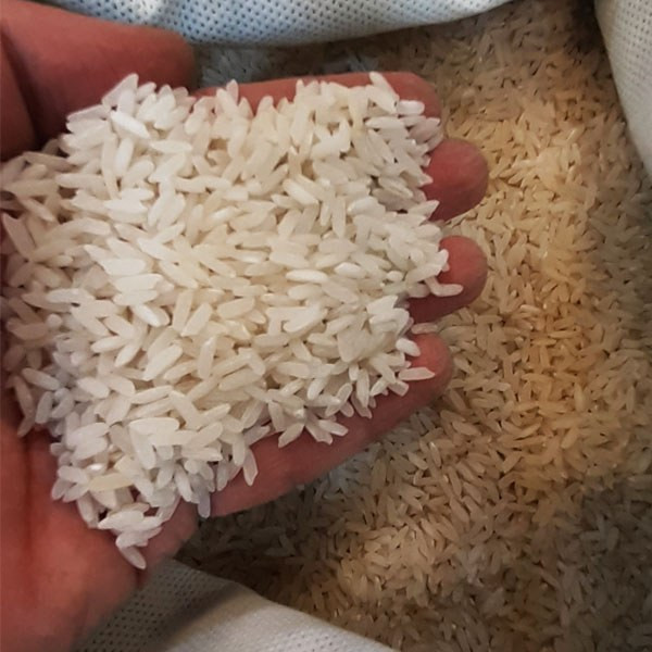 برنج پاکستانی باسماتی ورتاج کیفیت عالی خوش پخت